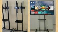 thqBracket20TV20Standing