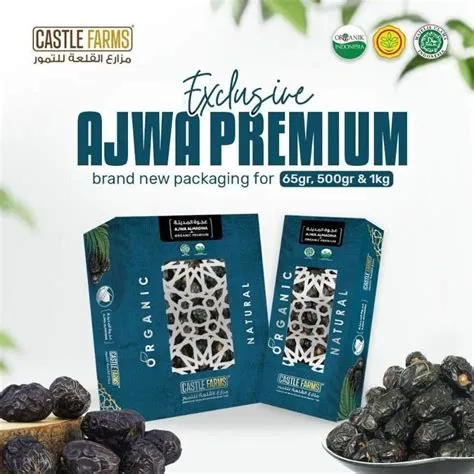 kurma-ajwa-premium-Panduan-Lengkap