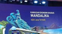 thqJasa20SEO20Mandalika