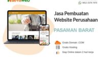 thqJasa20SEO20Pasaman20Barat