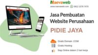 thqJasa20SEO20Pidie20Jaya