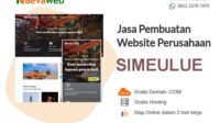 thqJasa20SEO20Simeulue