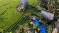 thqJasa20SEO20Ubud