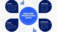 thqjasa20backlink20profile
