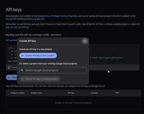 Cara-Menggunakan-Gemini-API-Key-untuk-AI-Software-Optimalisasi-Software