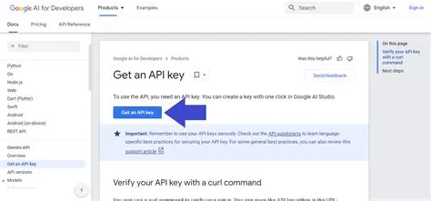 Panduan-Praktis-Membuat-API-Key-Gemini-untuk-Pemula-Langkah-Mudah