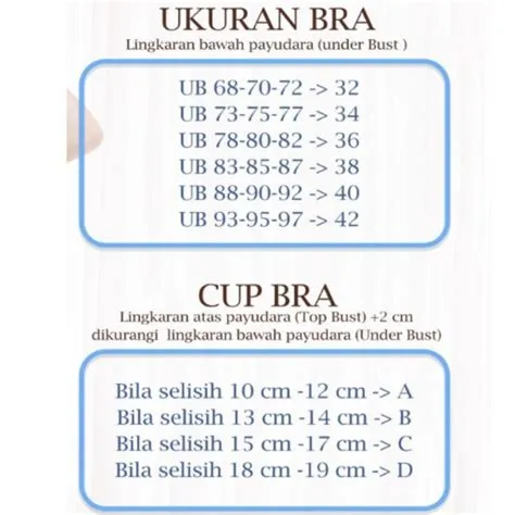 bra-cup-d-seamless-Panduan-Memilih