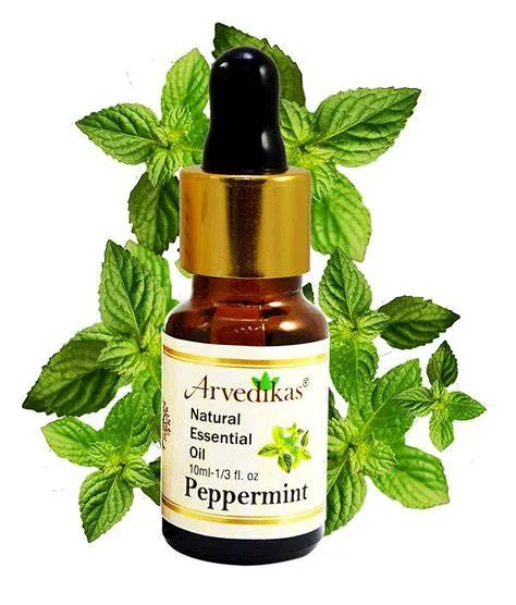 essential-oil-peppermint-Essential-Oil