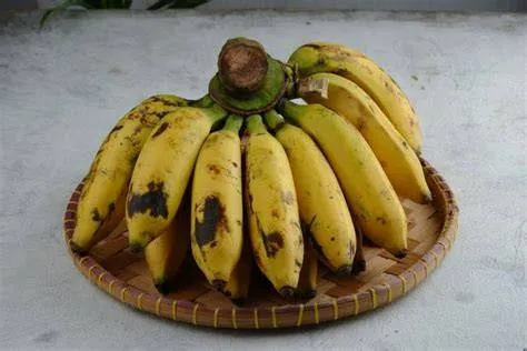 pisang-uli-untuk-kripik-lumer-Pisang-Uli